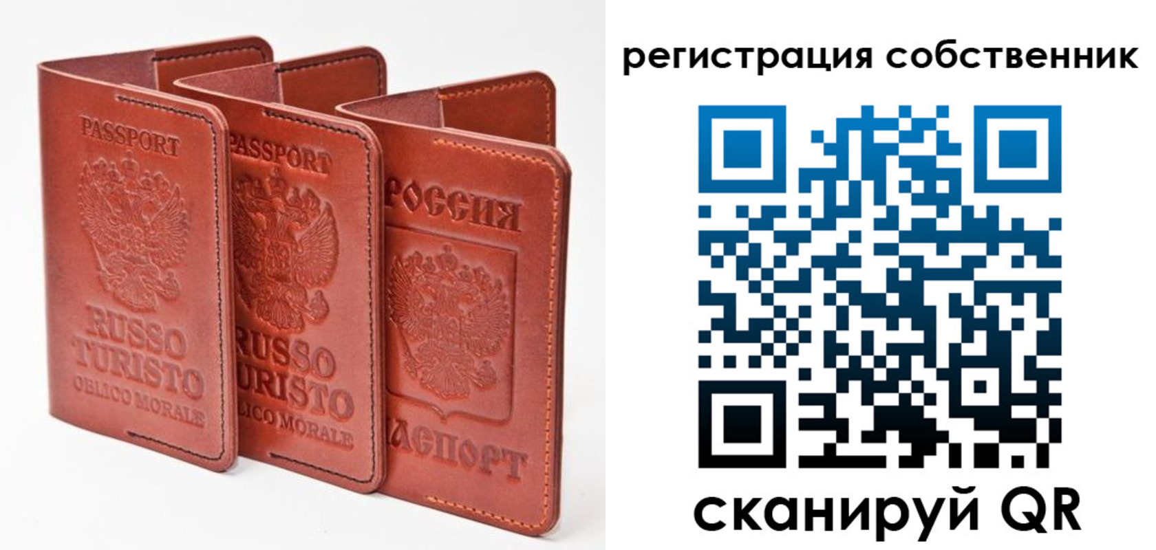 прописка поиск в Болотном
